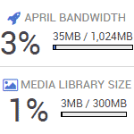 media library storage and bandwidth increase